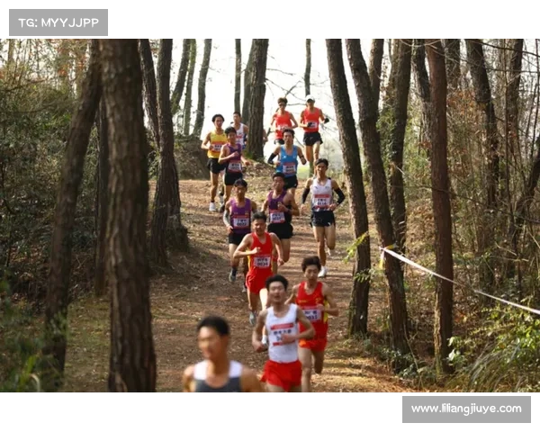 2019年越野跑赛事